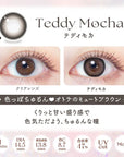 EverColor Monthly Contact Lenses Teddy Mocha