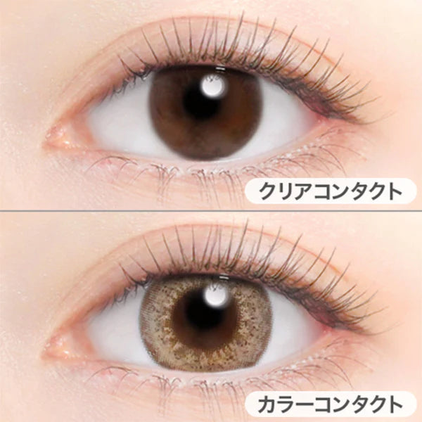 Evercolor Monthly Eye Genic Contact Lenses Luxe Beige