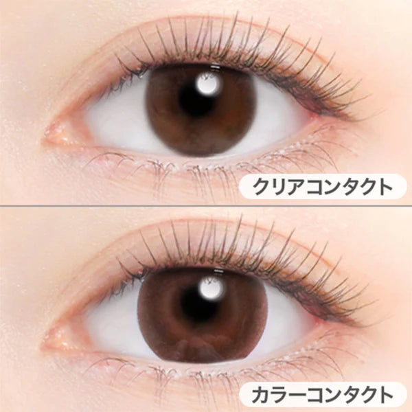 Evercolor Monthly Eye Genic Contact Lenses Sleek Brown