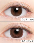 Evercolor Monthly Eye Genic Contact Lenses Sleek Brown