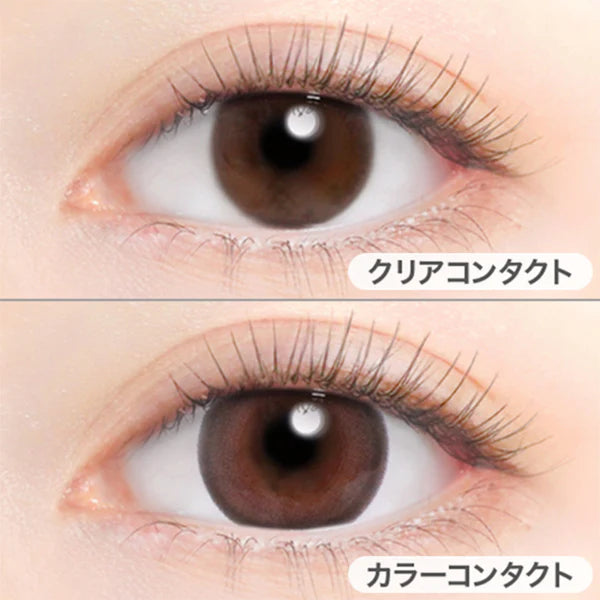 Evercolor Monthly Eye Genic Contact Lenses Sweet Tier – Ichiban Mart