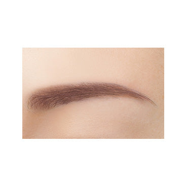 Excel Color Edit Powder Brow