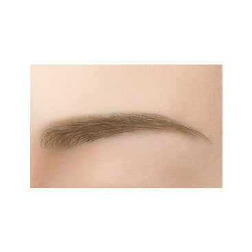 Excel Color Edit Powder Brow