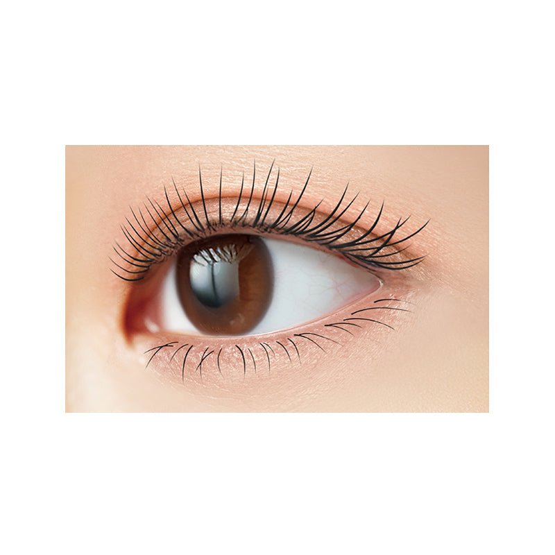 Excel Lash Optimism