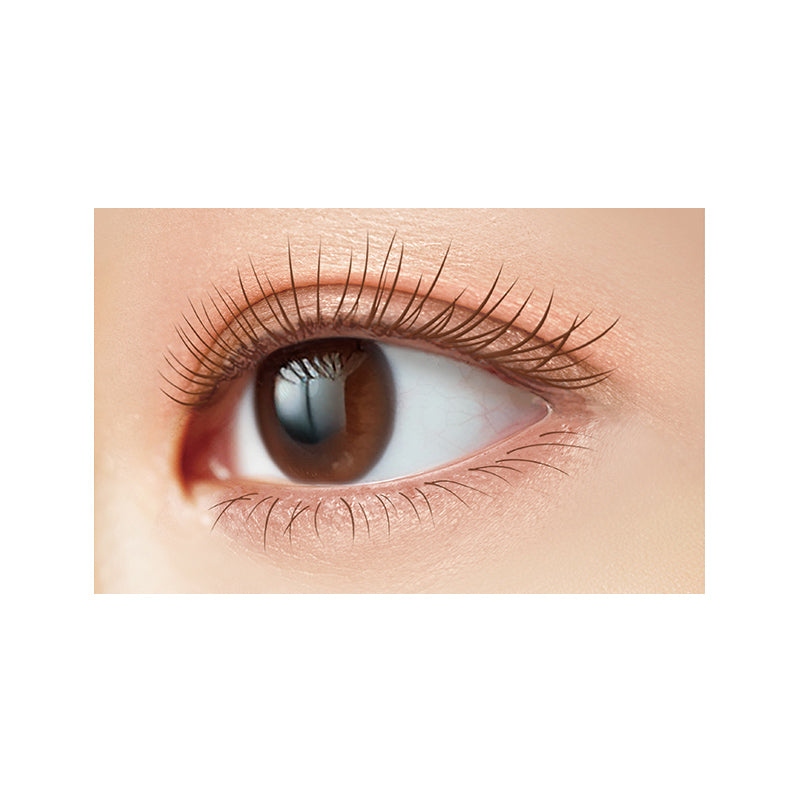 Excel Lash Optimism