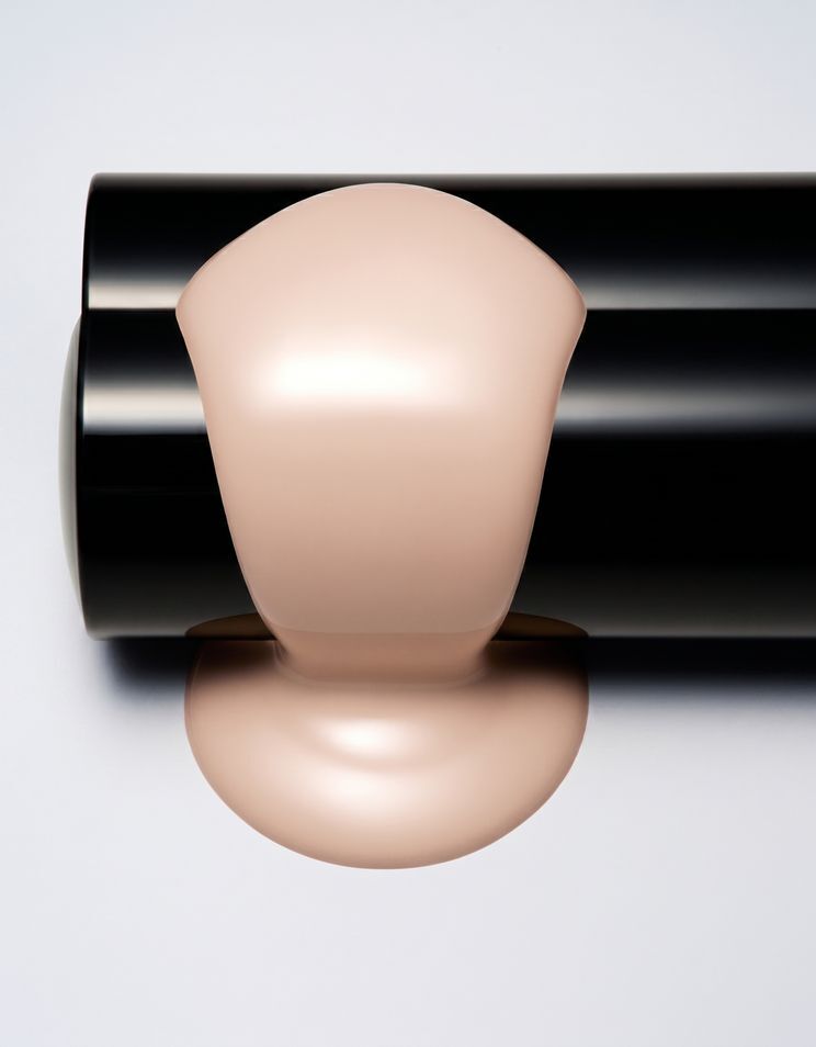 FAS The Plump Foundation
