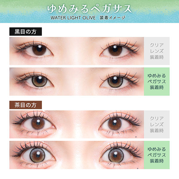 Flurry by Colors Contact Lenses Waterlight Olive
