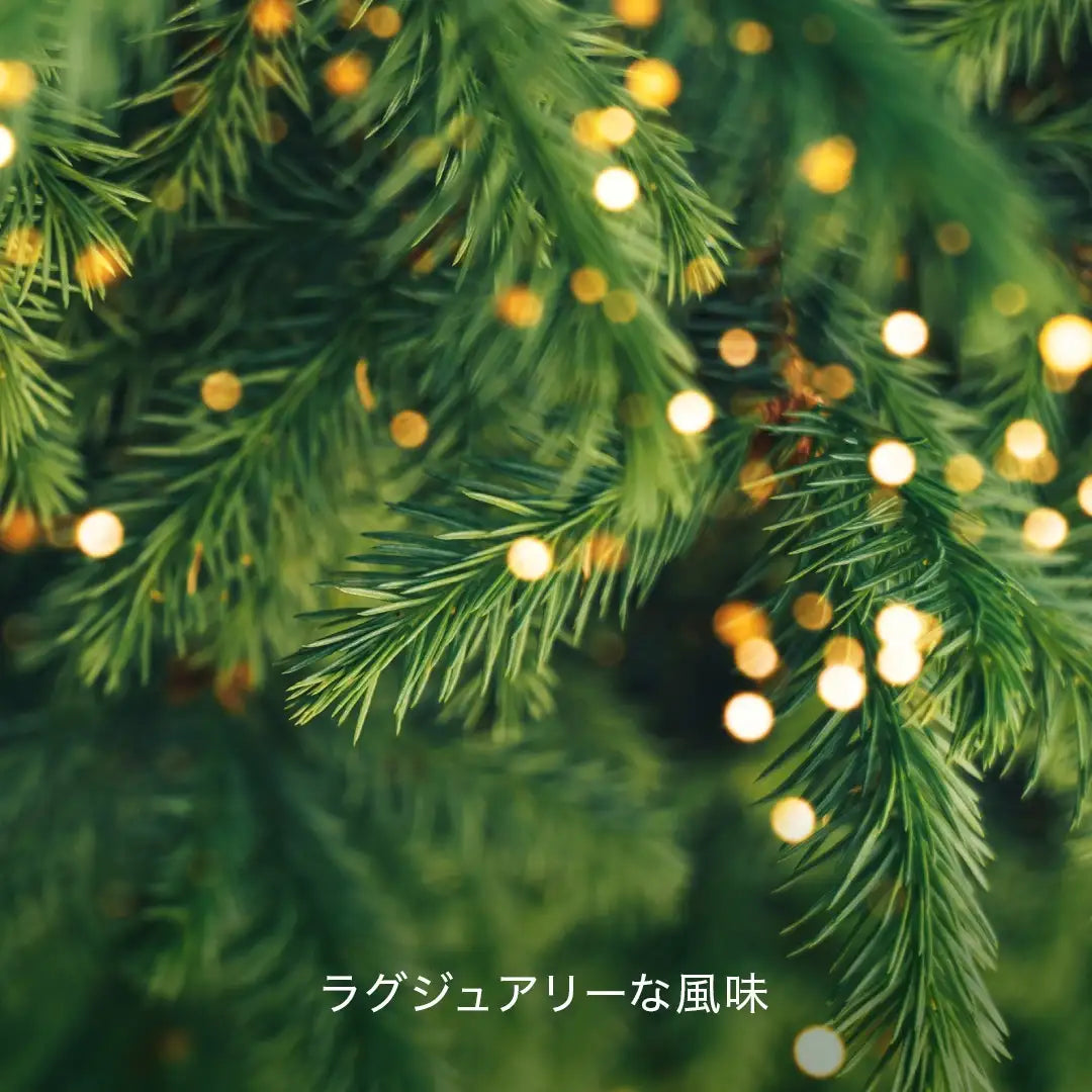 Hacci Honey French Fir Trees 2026 Holiday Collection