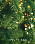 Hacci Honey French Fir Trees 2026 Holiday Collection