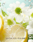 Hacci Sun Protection Mist CF