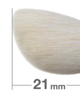 Hakuhodo J6455 Blush Brush Round & Angled