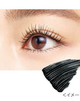 Isehan Japan Kiss Me Ferme Long-Lasting Long & Curl Mascara