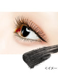 Isehan Japan Lash Guardian Long Longer Base