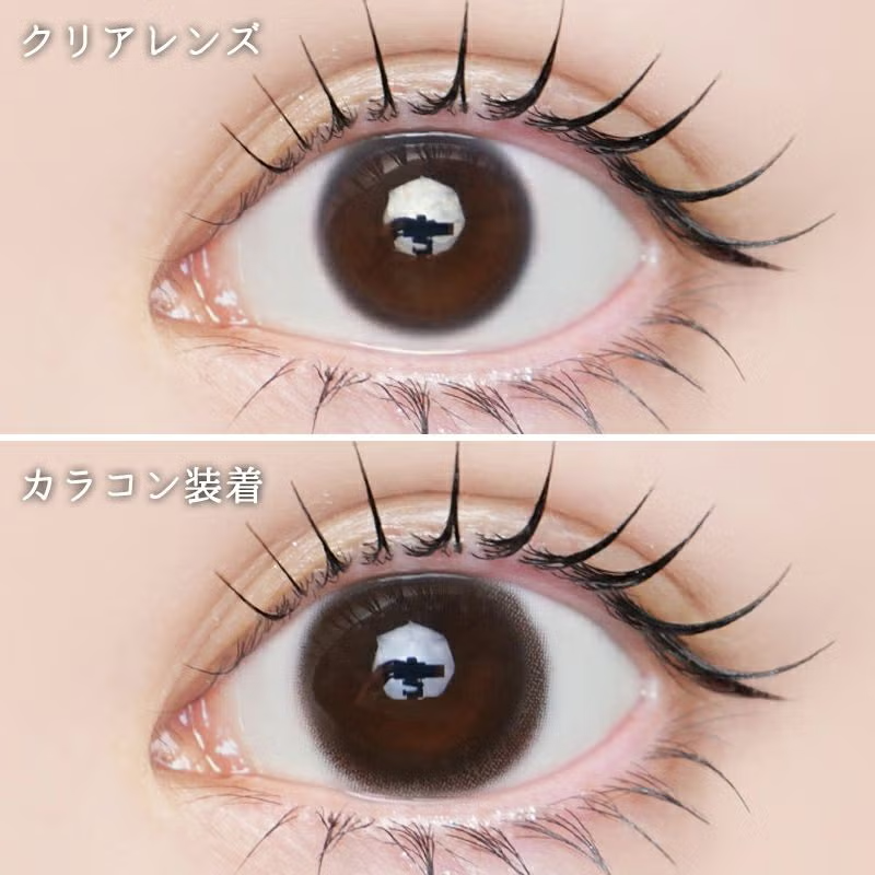 LARME 1 Day Natural Contact Lenses Cocobear