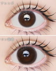 LARME 1 Day Natural Contact Lenses Cocobear