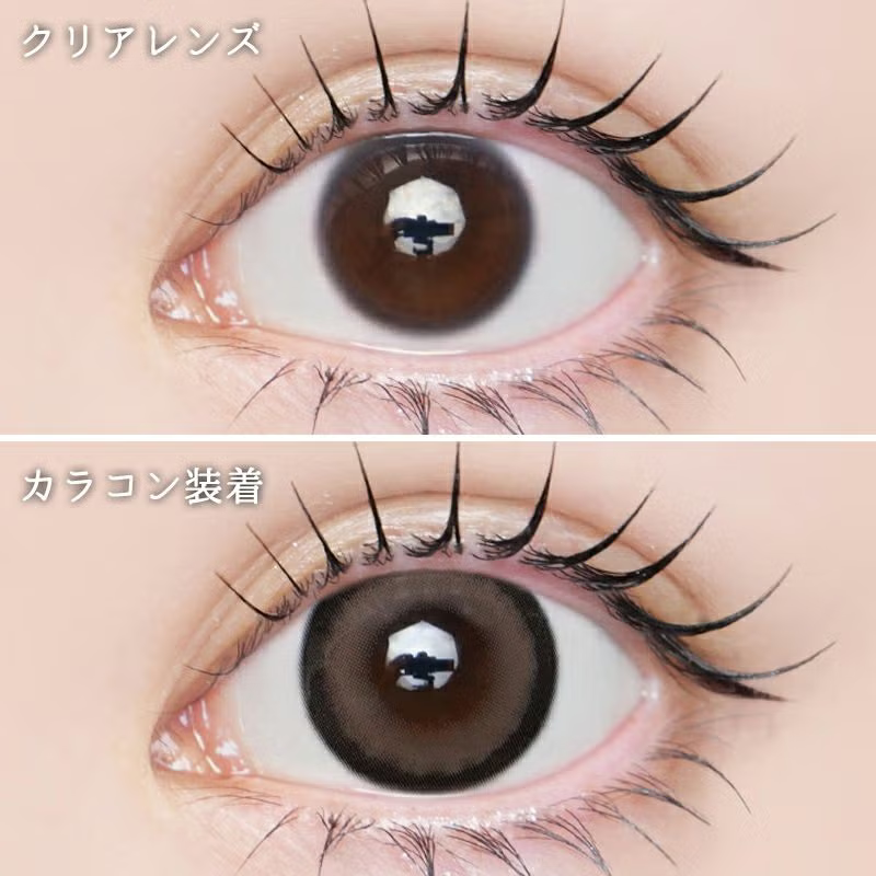 LARME 1 Day Natural Contact Lenses Nougat Brown