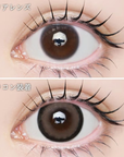 LARME 1 Day Natural Contact Lenses Nougat Brown