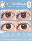LARME Silicone Hydrogel Toric Ice Gray Brown For Astigmatism