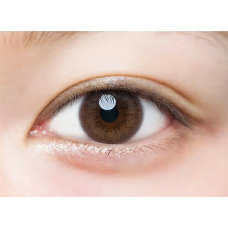 LuMia 1 Day Contact Lenses Quartz Brown