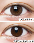 LuMia 1 Day Contact Lenses Quartz Brown