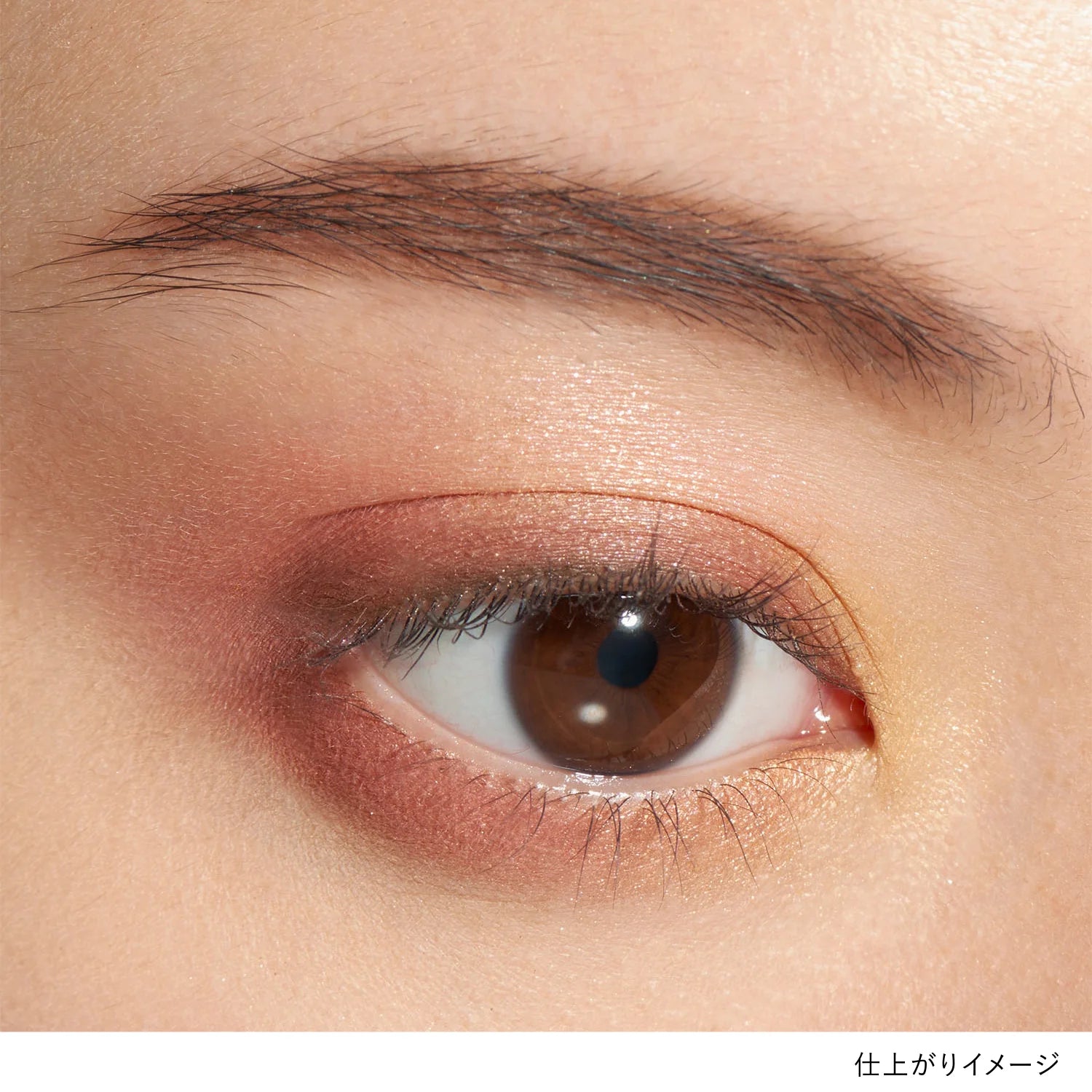 Lunasol Eye Coloration N