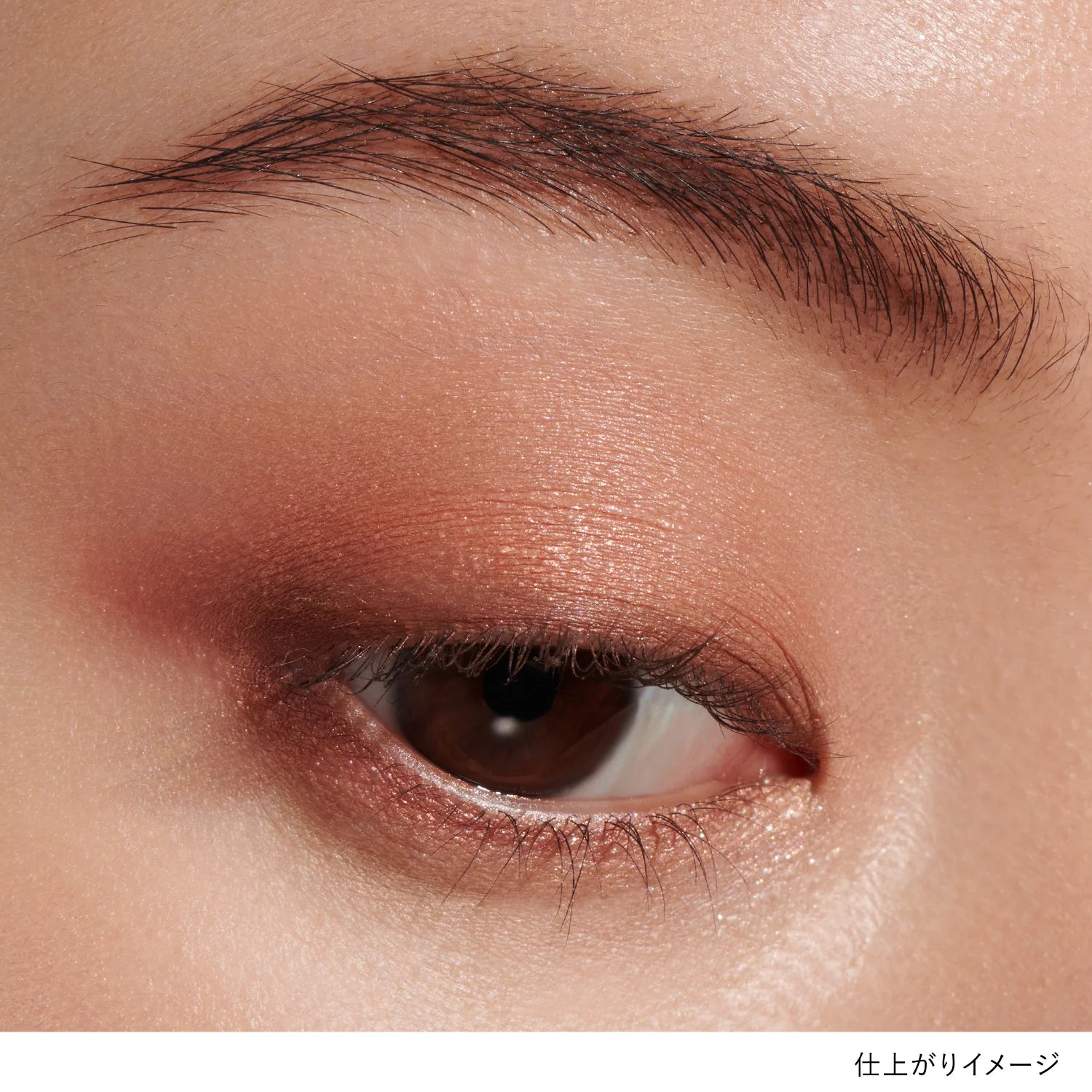 Lunasol Eye Coloration N