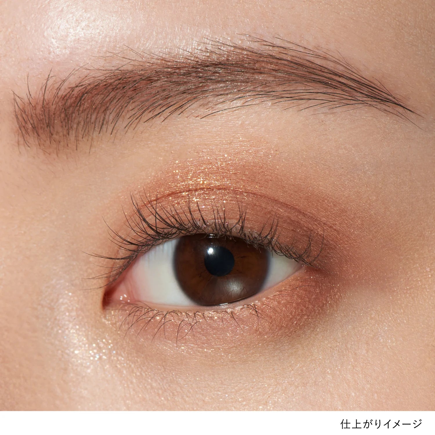 Lunasol Eye Coloration N
