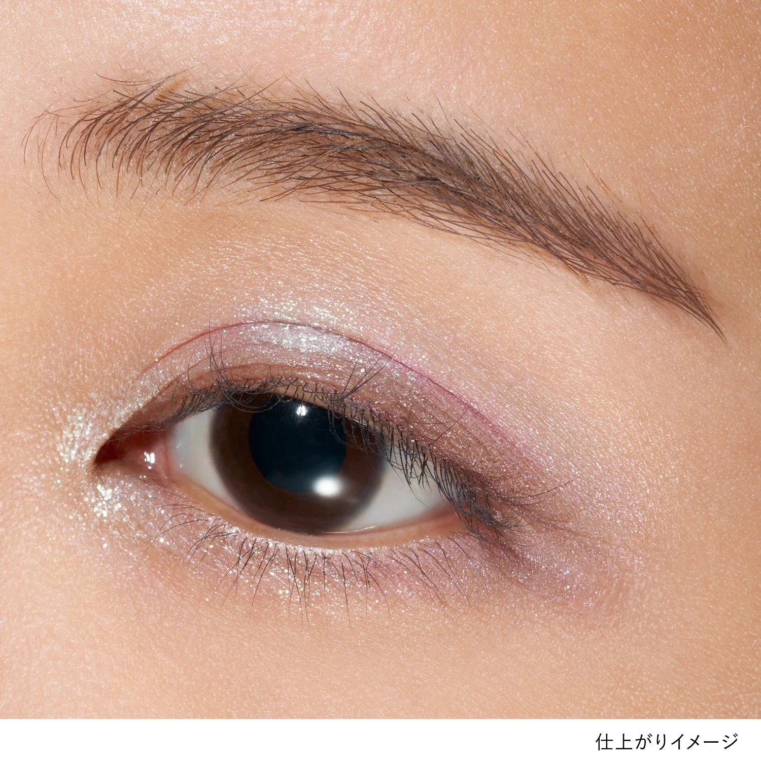 Lunasol Eye Coloration N