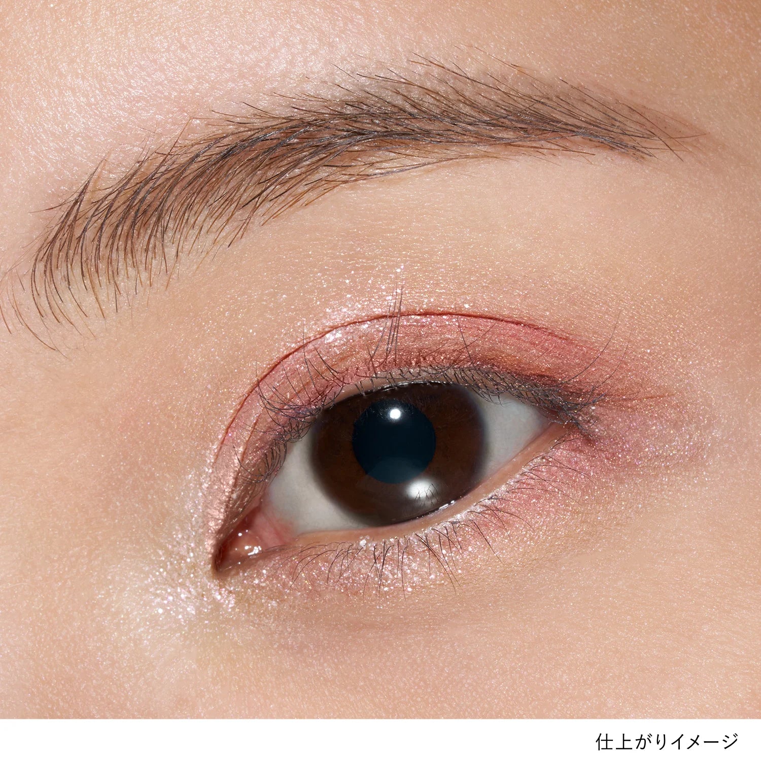 Lunasol Eye Coloration N