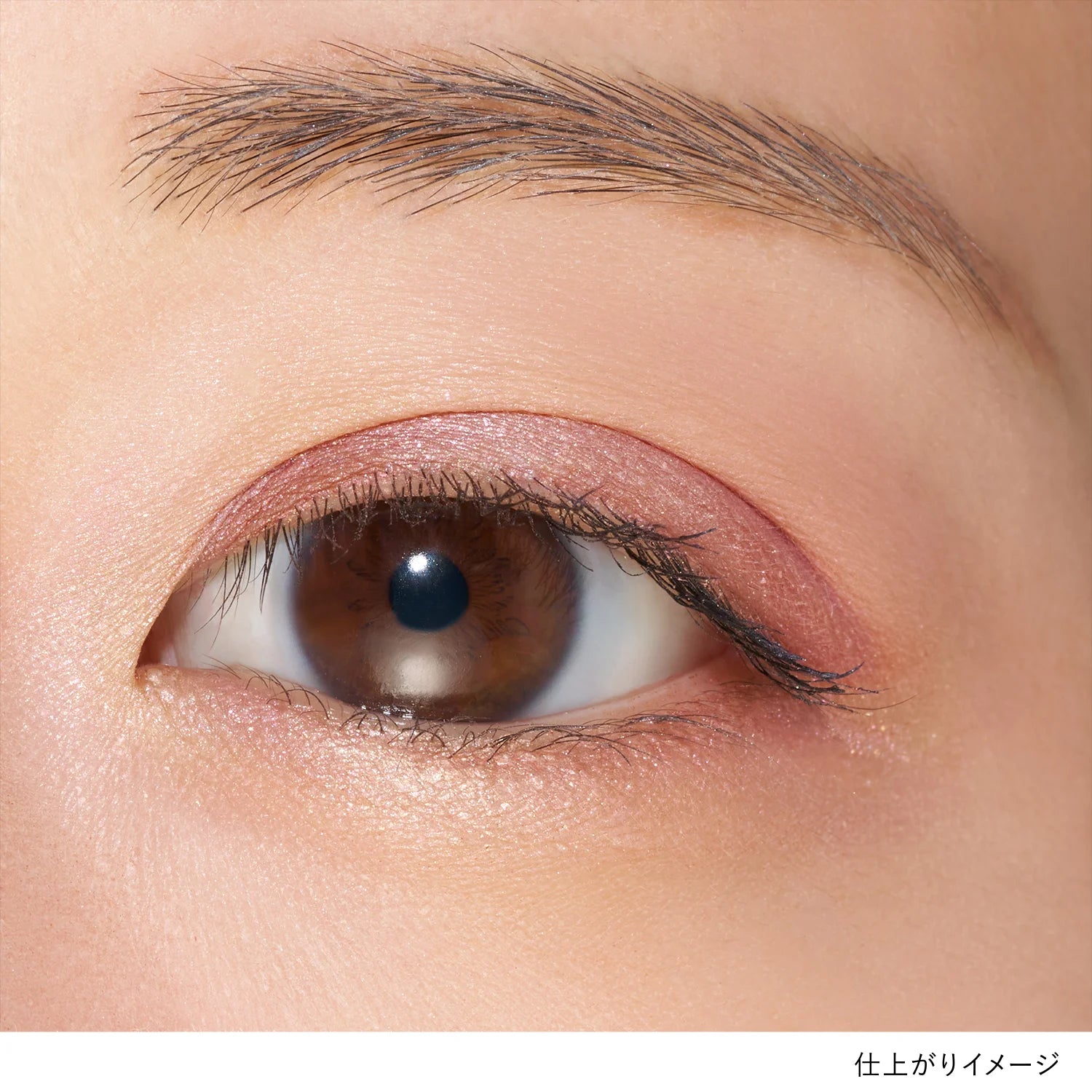 Lunasol Eye Coloration N