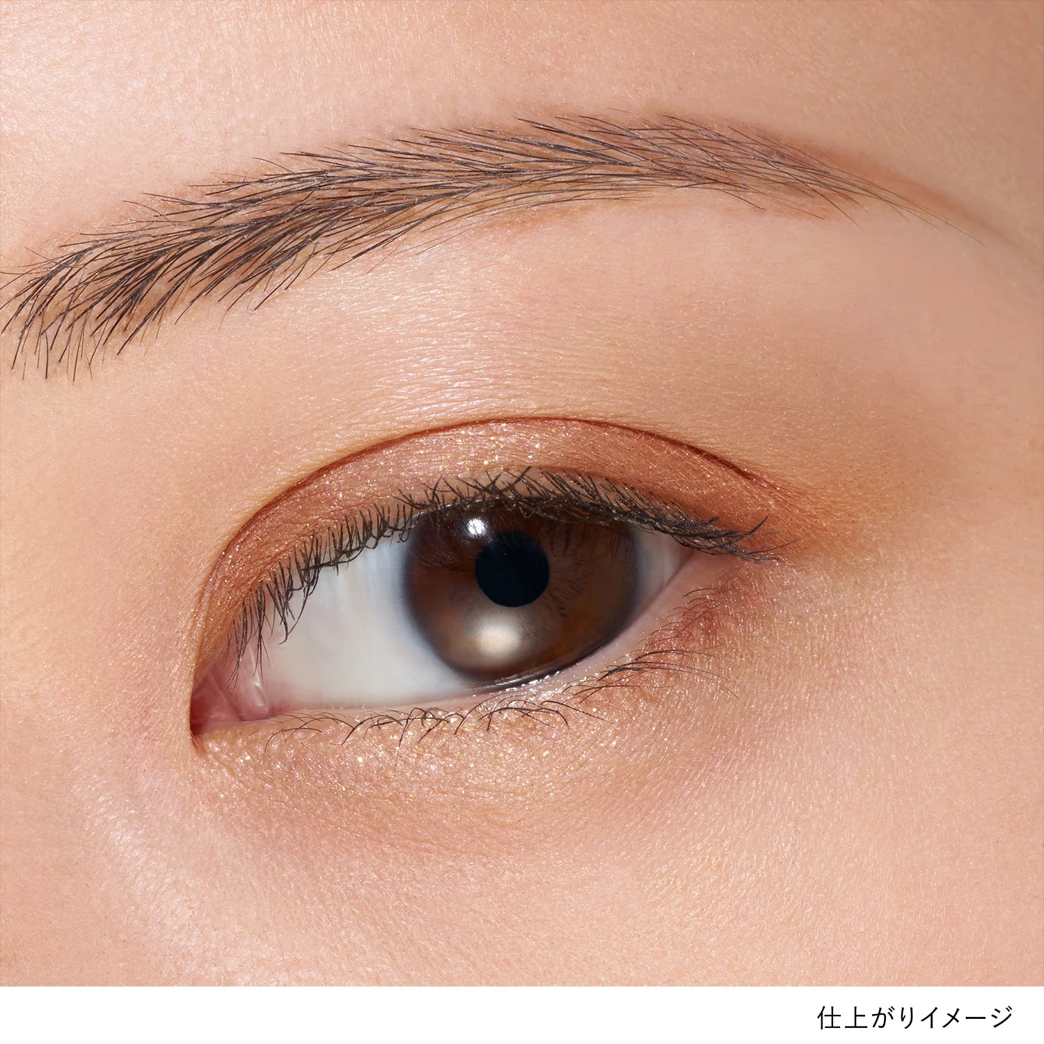 Lunasol Eye Coloration N