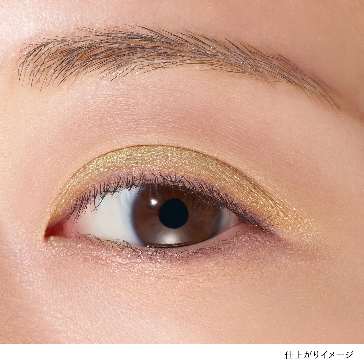 Lunasol Eye Coloration N