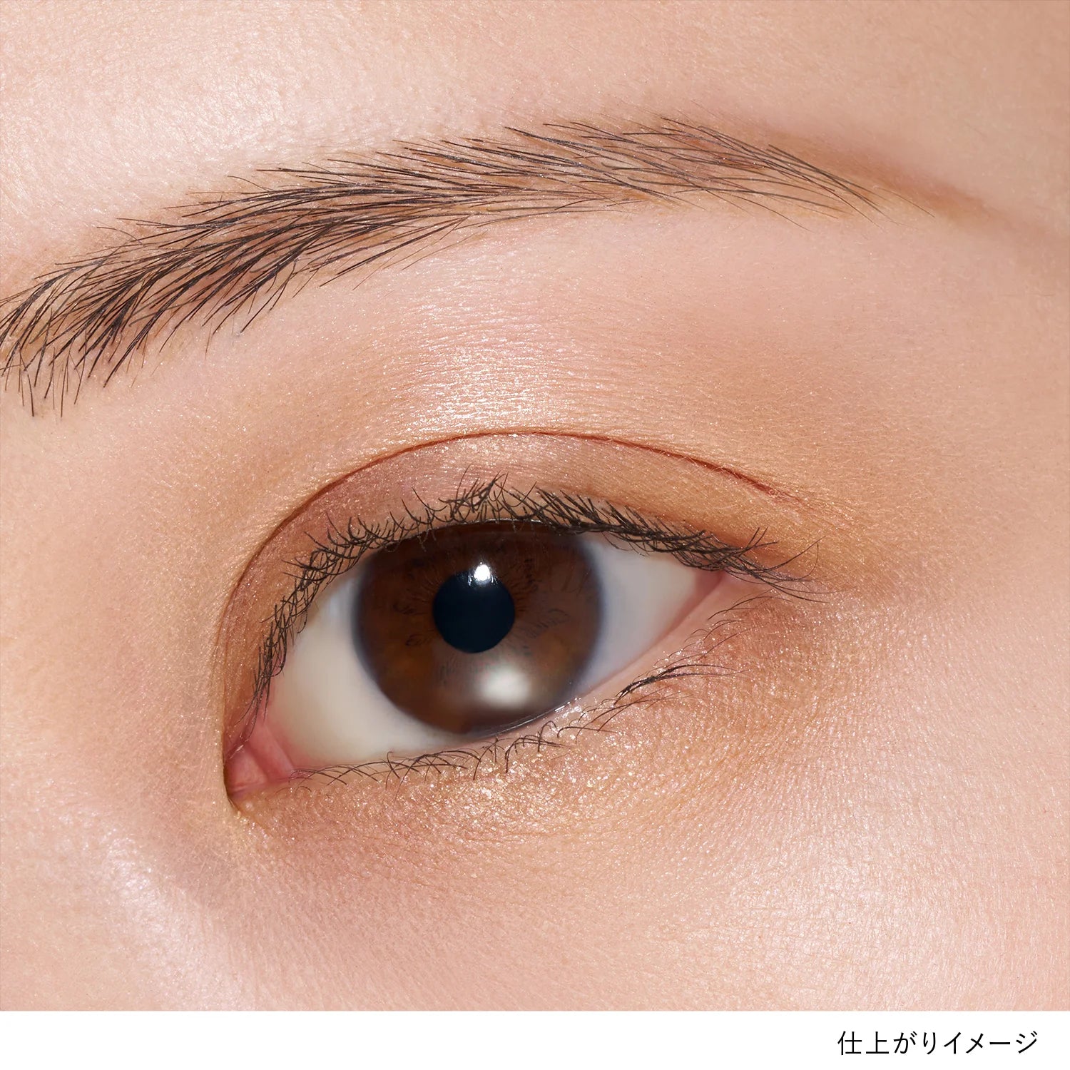 Lunasol Eye Coloration N