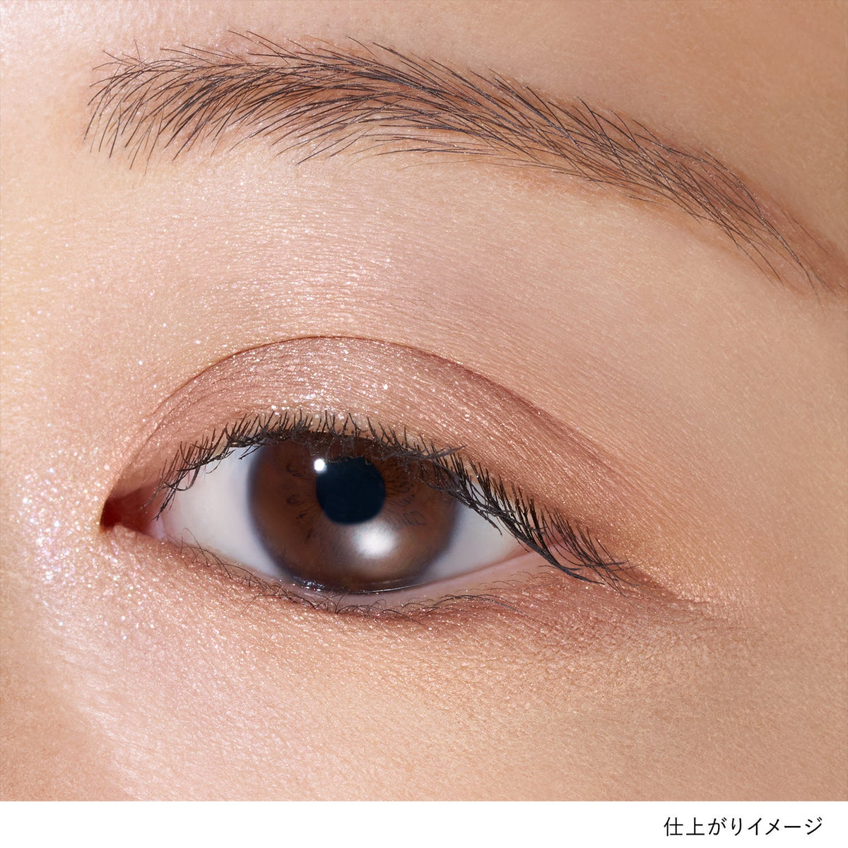Lunasol Eye Coloration N Iridescent Glam Limited Collection