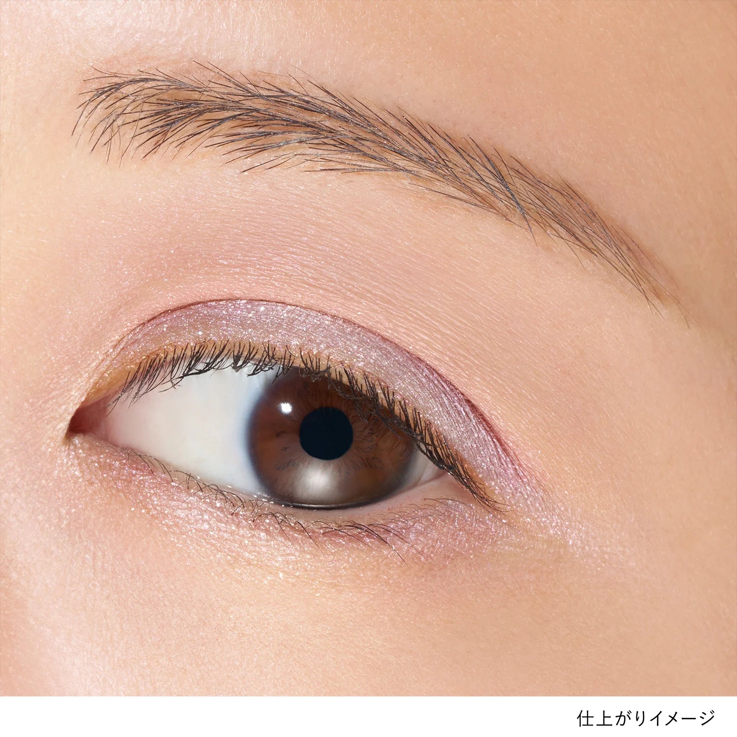 Lunasol Eye Coloration N