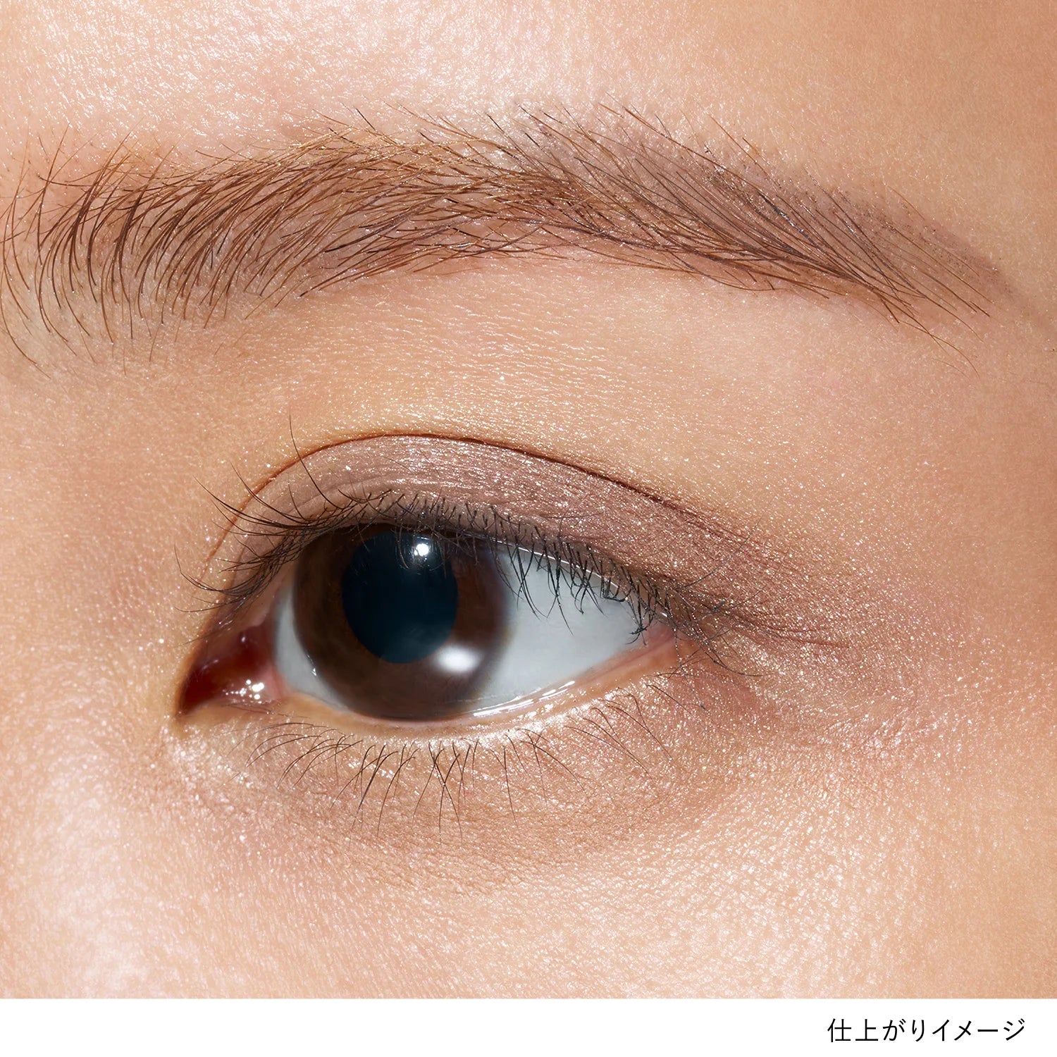 Lunasol Mono Eye Coloration