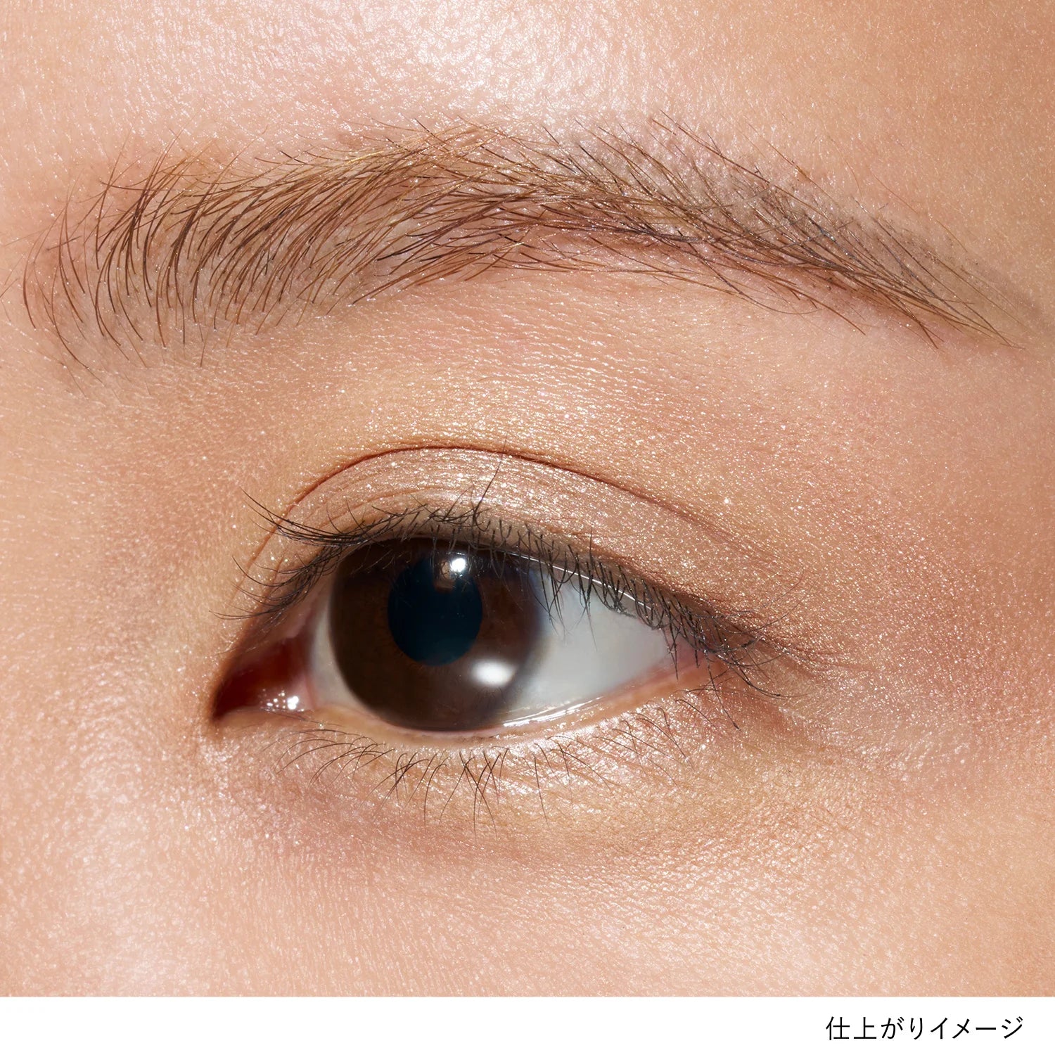 Lunasol Mono Eye Coloration