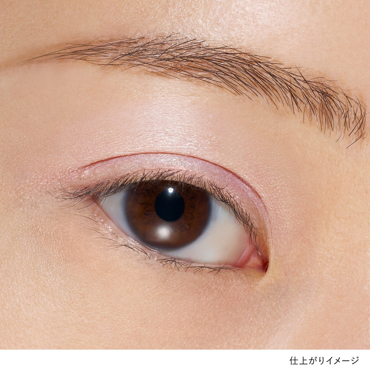 Lunasol Mono Eye Coloration Iridescent Glam Limited Collection