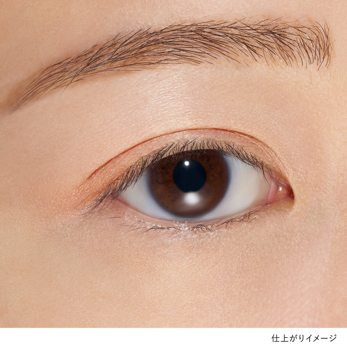 Lunasol Mono Eye Coloration Iridescent Glam Limited Collection