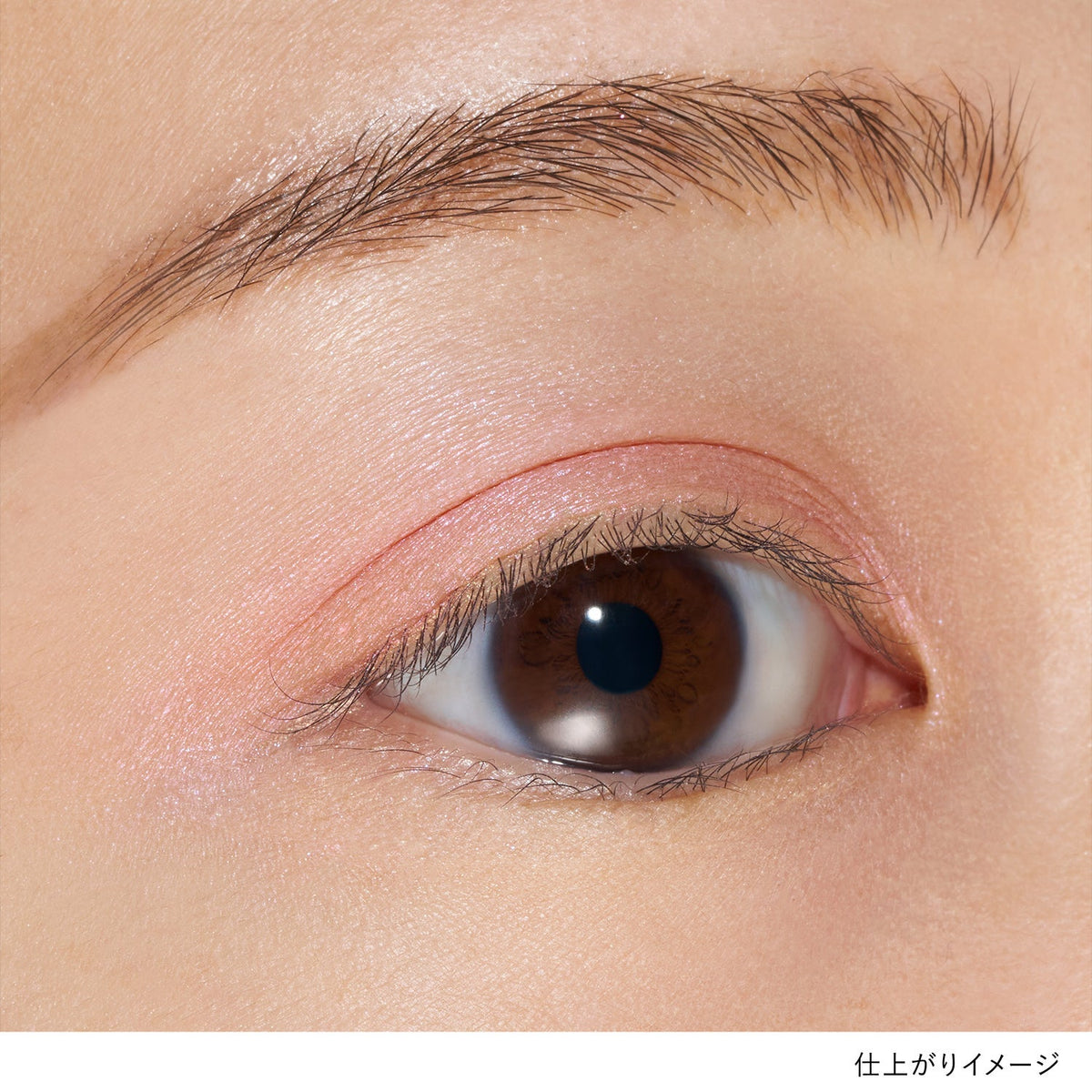 Lunasol Mono Eye Coloration Iridescent Glam Limited Collection