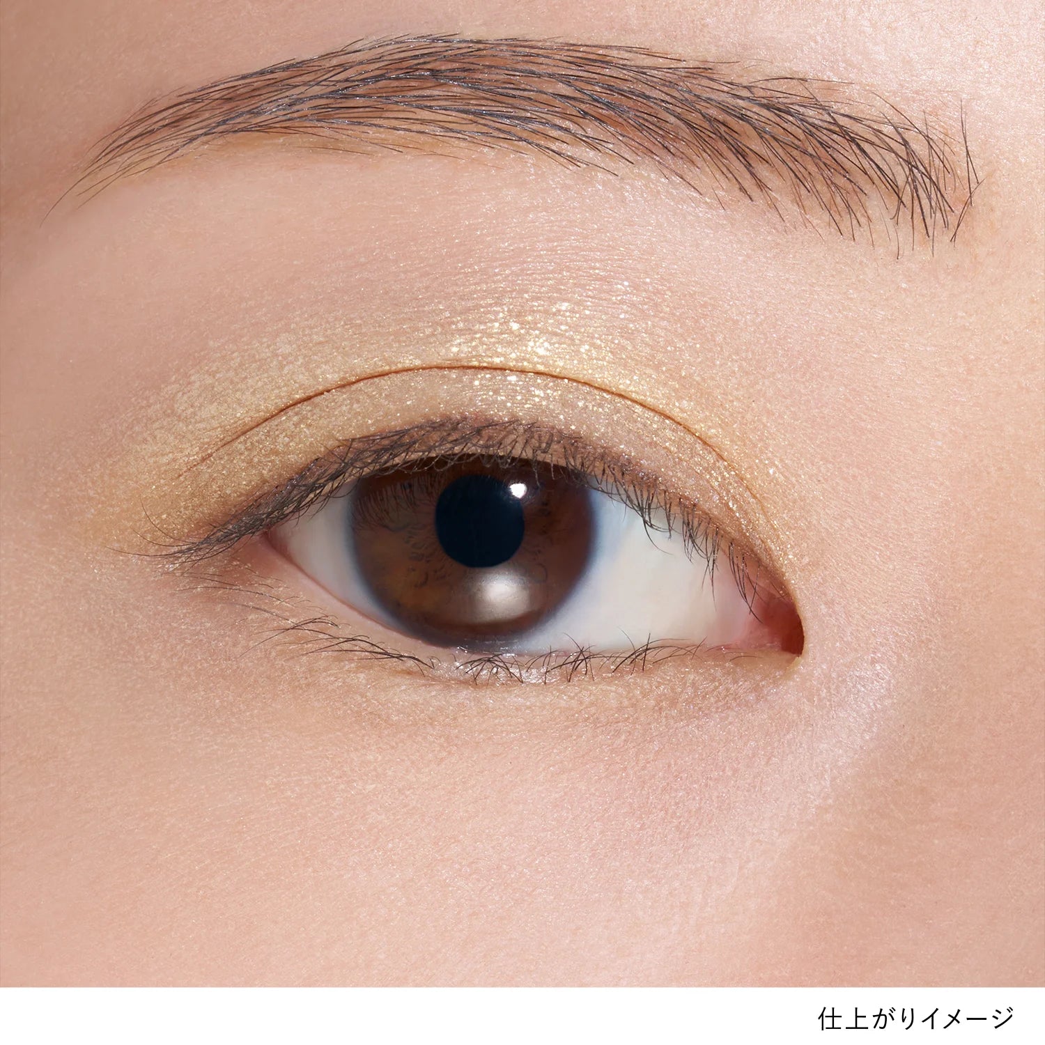 Lunasol Mono Eye Coloration