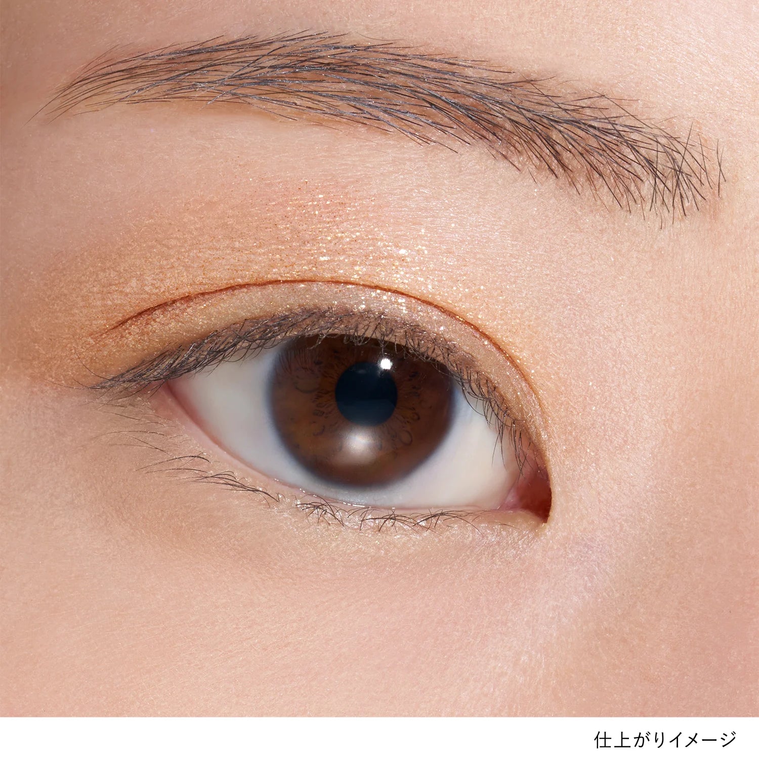 Lunasol Mono Eye Coloration