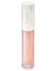 Maquillage Gloss Pumper