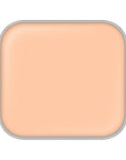 Excia Antellisance Lift Emulsion Foundation