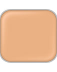 Excia Antellisance Lift Emulsion Foundation