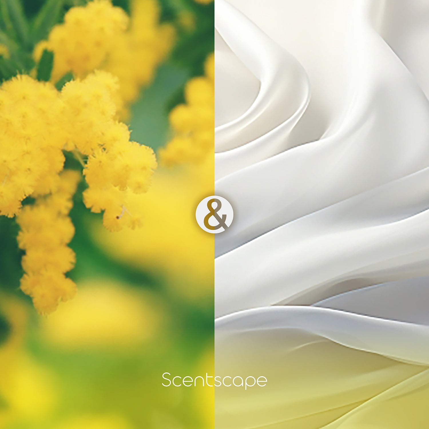 Nippon Kodo Saintscape 30 Pieces