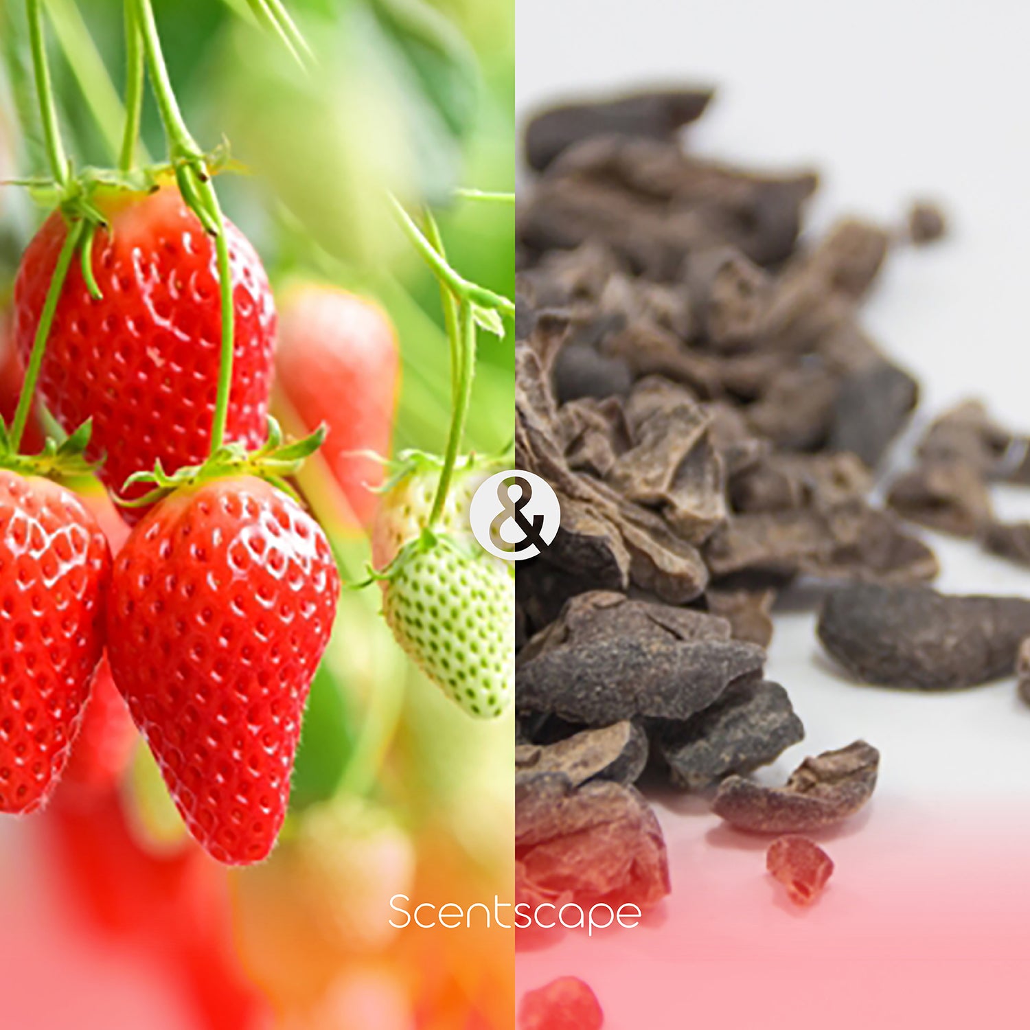 Nippon Kodo Saintscape 30 Pieces