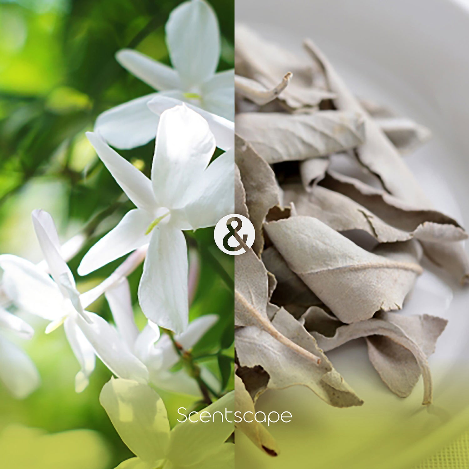 Nippon Kodo Saintscape 30 Pieces