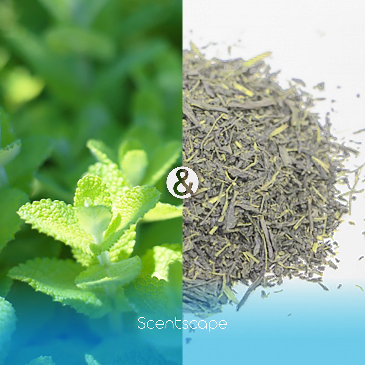 Nippon Kodo Saintscape 30 Pieces