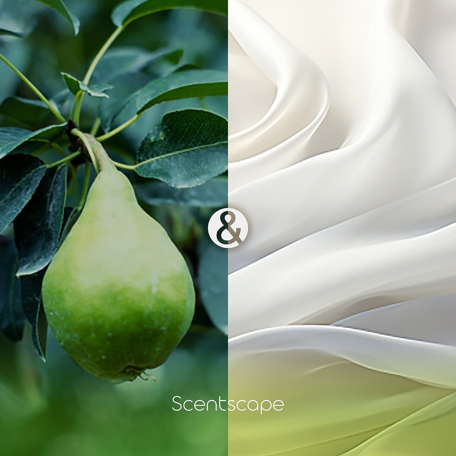 Nippon Kodo Saintscape 30 Pieces